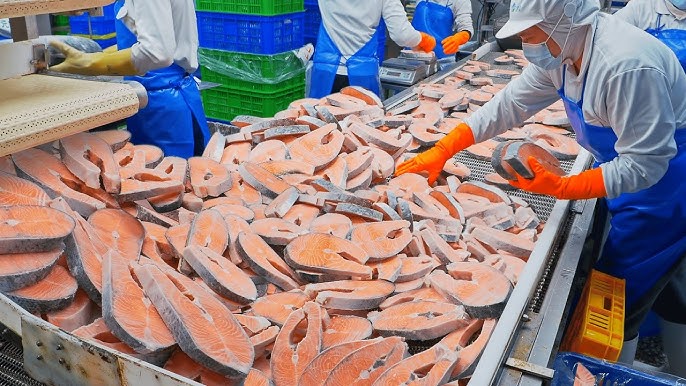 Salmon Processing